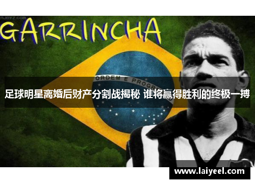 足球明星离婚后财产分割战揭秘 谁将赢得胜利的终极一搏
